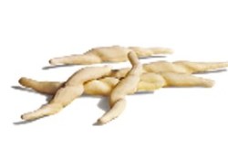 Strigoli Mediterranea Surgelati Teramo Abruzzo